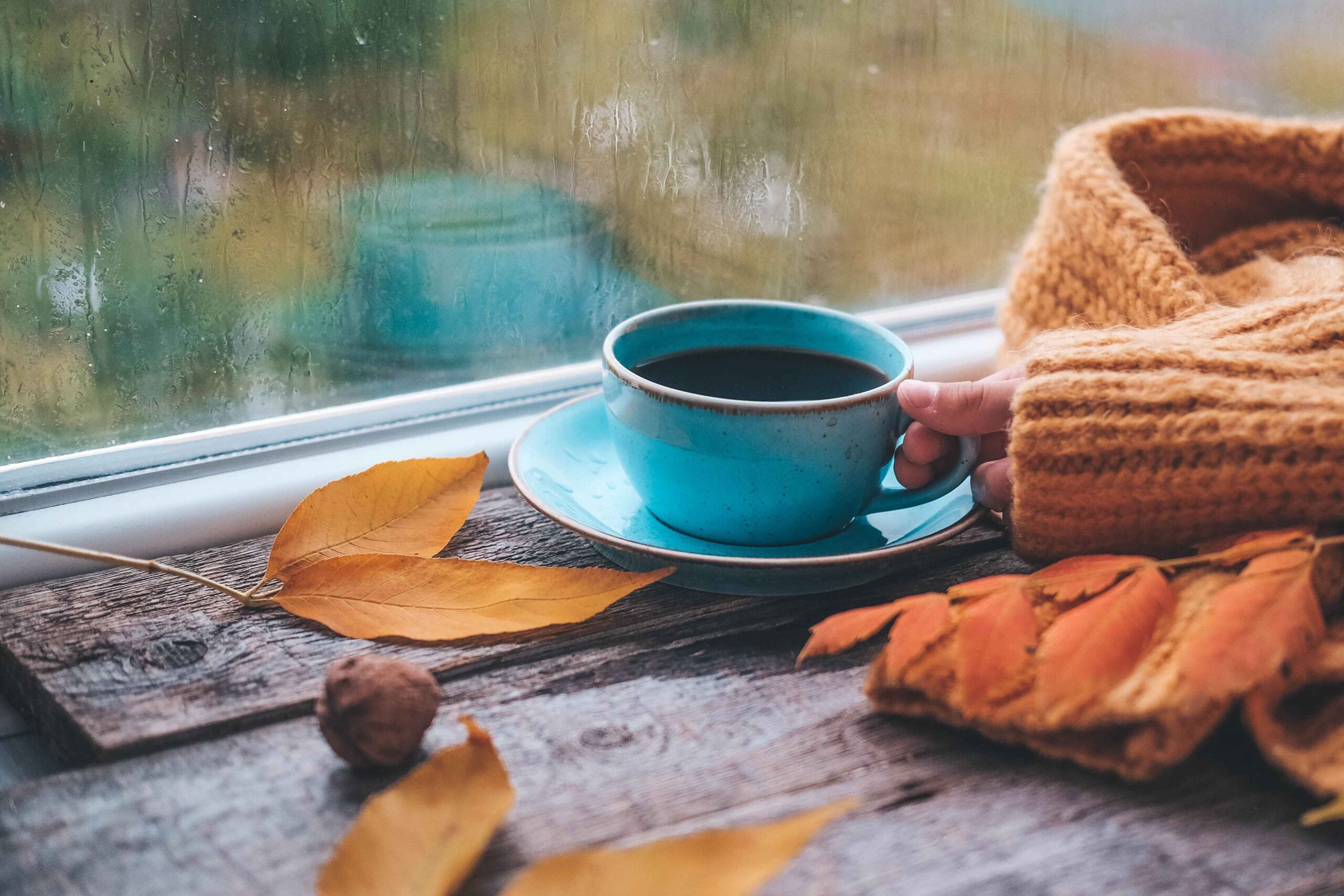 psychoterapie.ceske.budejovice1